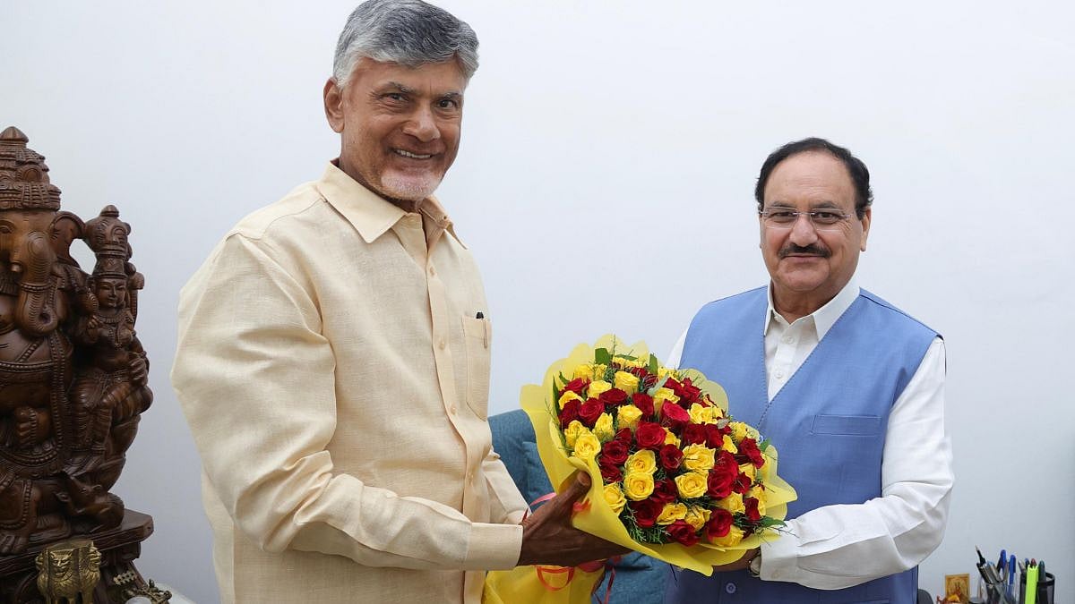Andhra Pradesh CM Chandrababu Naidu Meets Union Minister JP Nadda, Discusses Development Projects For 'Viksit Andhra'